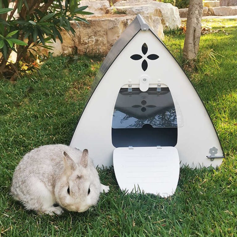 white rabbit hutch small